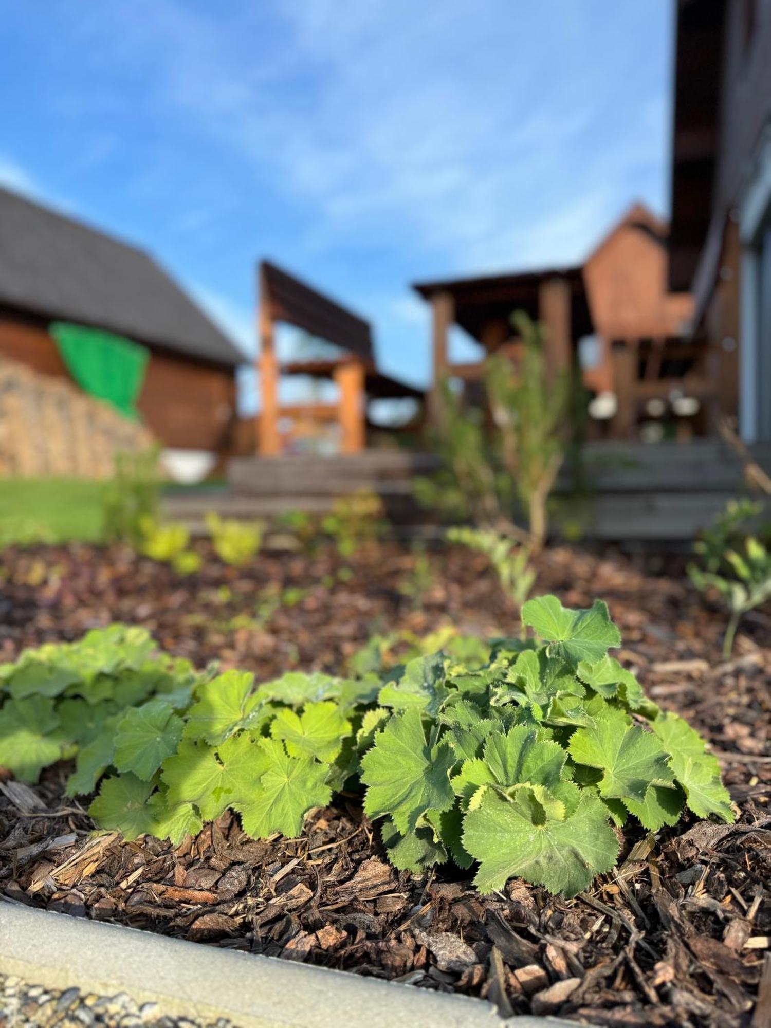 Apartmány Černý vlk, Borová Lada Exteriér fotografie